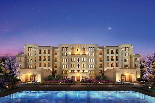 重庆学位房爆料新闻,揭秘名校周边房价飙升背后的真相  第3张